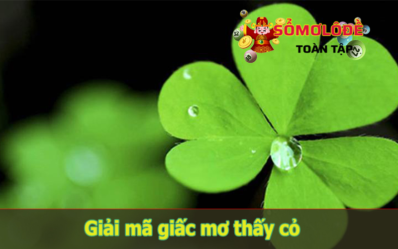 Nằm mơ thấy cỏ 3 lá ý nghĩa gì?