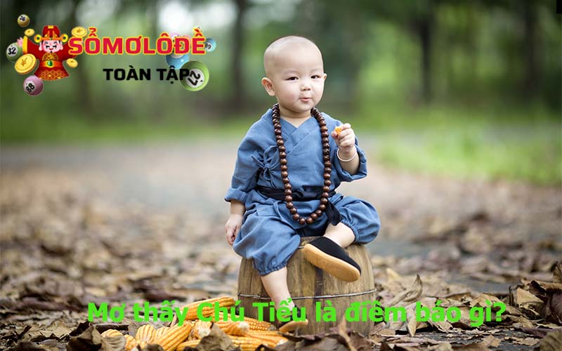 Mơ thấy Chú Tiểu là điềm báo gì?