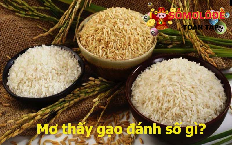 Nằm mơ thấy gạo là điềm báo gì?